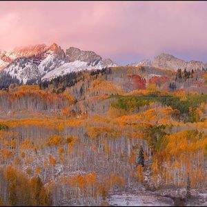 Meet your Posher, Giulianna